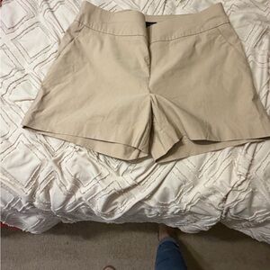 New York & Company Khaki Stretch Chino Shorts